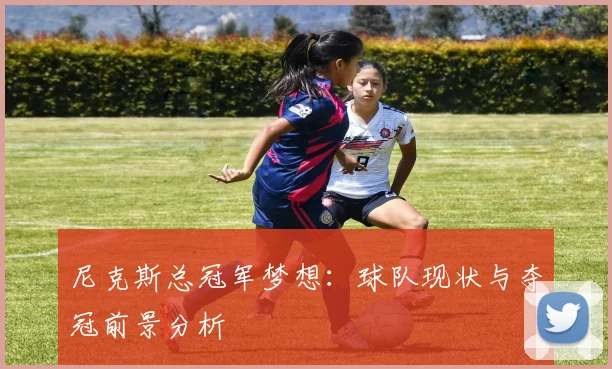 尼克斯总冠军梦想:球队现状与夺冠前景分析